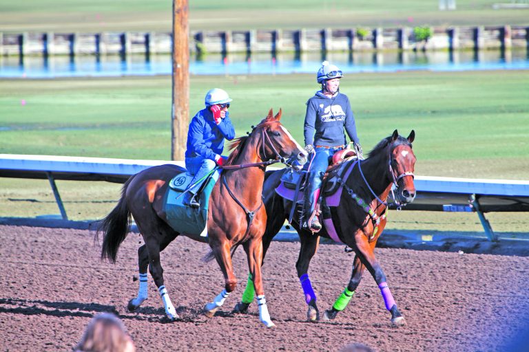 Los Al Race Track hosting Thoroughbreds for training, exercising