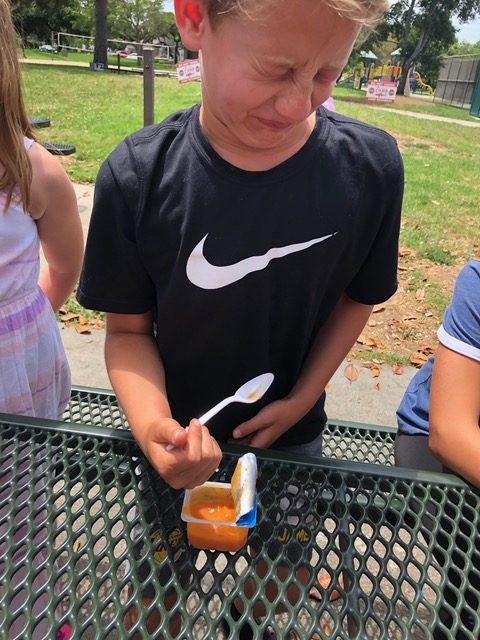 A bite into Baby Food Roulette | The Event News Enterprise