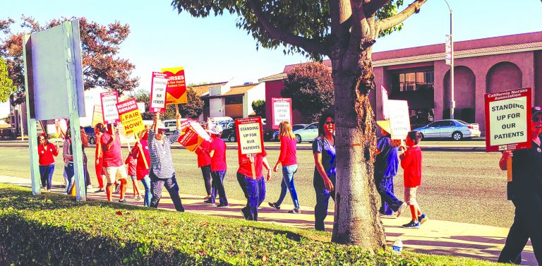 Registered nurses take concerns to city council