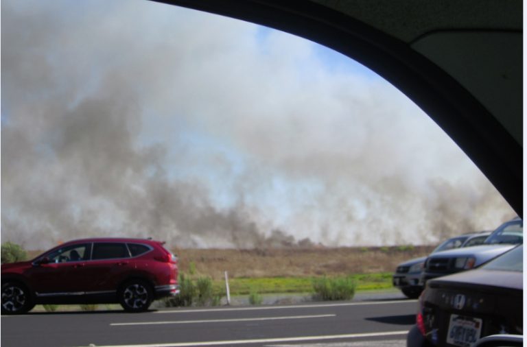 Firefighters quickly extinguish Bolsa Chica wetlands blaze