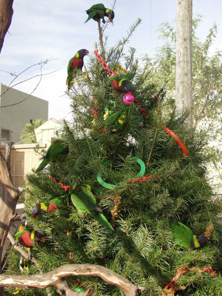 Aquarium of the Pacific announces Holiday offerings