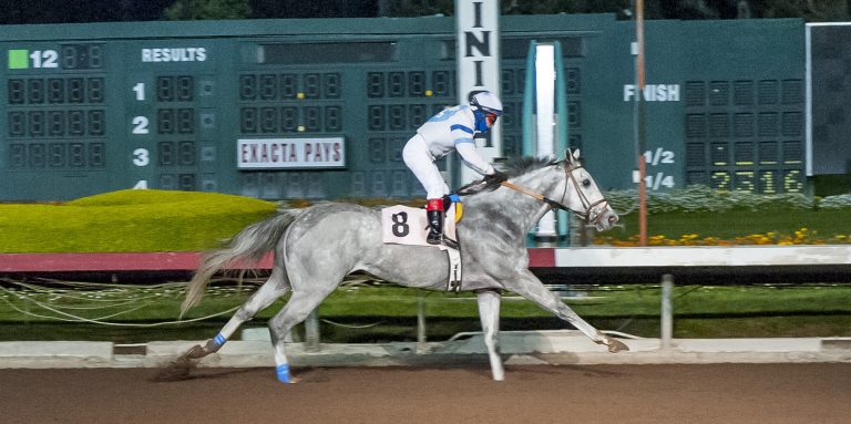 Paradise horse, rider survivors win at Los Al Race Course