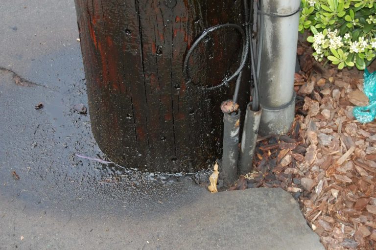Innovative technology promises solution to toxic utility poles