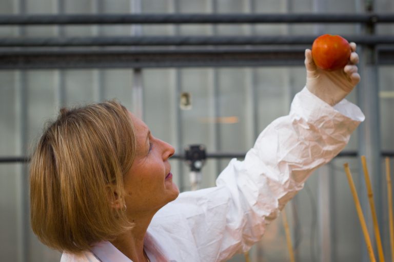 Barbara Baker, Ph.D., a Los Al graduate, elected to National Academy of Sciences.