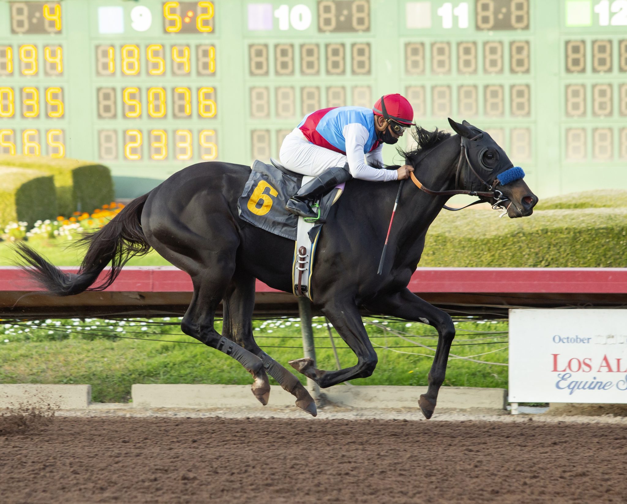 Thoroughbred season begins at Los Alamitos Race Course