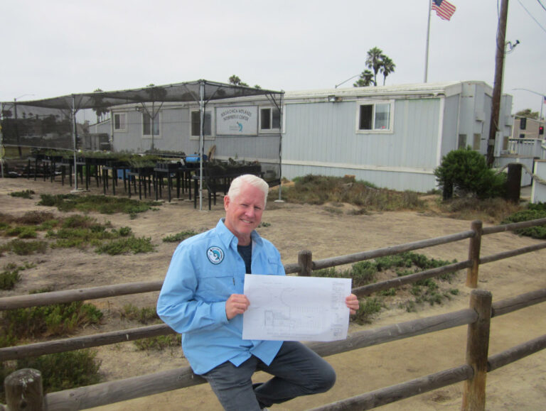 Bolsa Chica wetlands to get new interpretive center