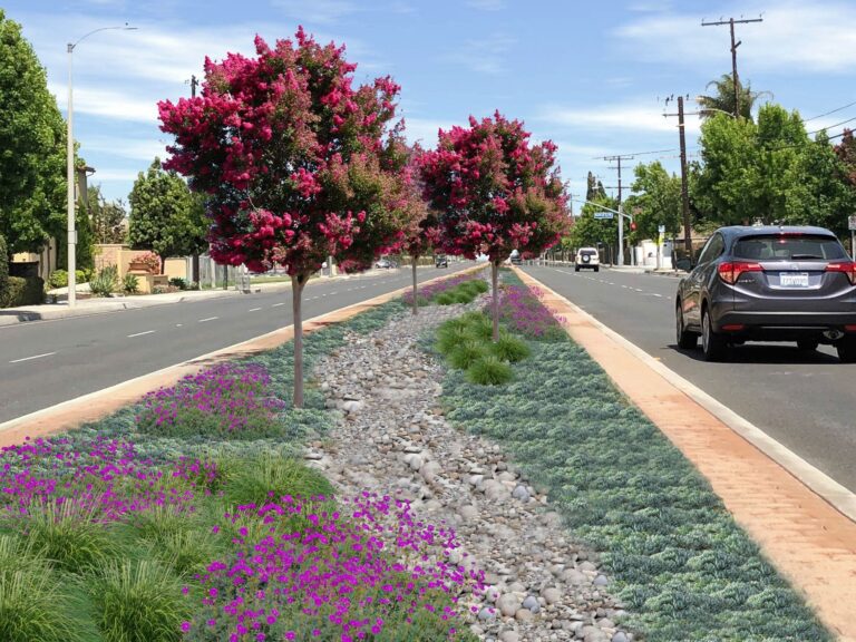 La Palma awarded $2 million Congressional appropriation for median project