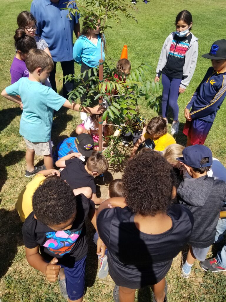 Youth Center, RCSD jointly celebrate Arbor Day