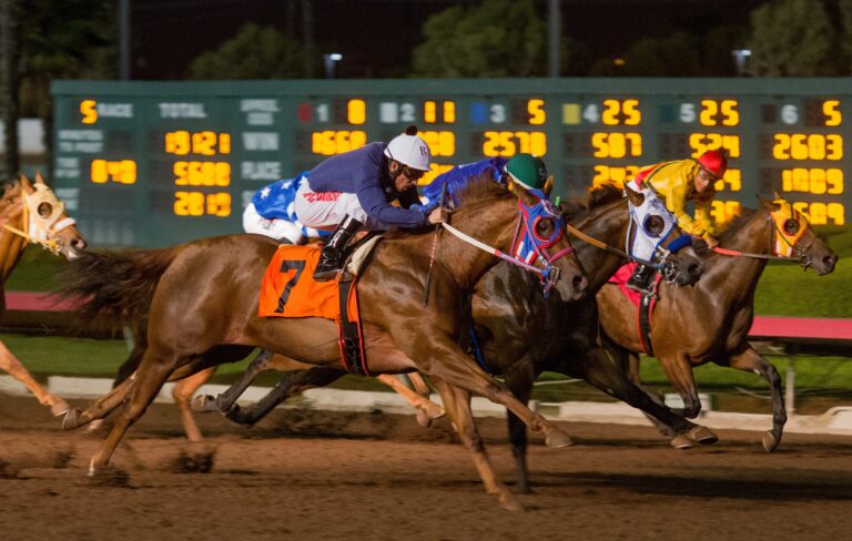 Los Al Race Course to invest up to $1 million in ‘backstretch’ improvements