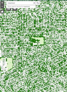 An earlier satellite image presented by Kingman illustrates how much the Rossmoor tree canopy has developed. Courtesy image
