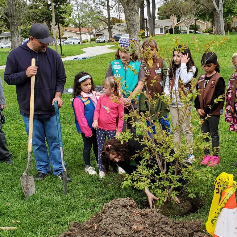 Rossmoor Community Services District plants tree during Arbor Day celebration