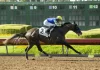 Reincarnate gives Baffert his 7th Los Al Derby Win