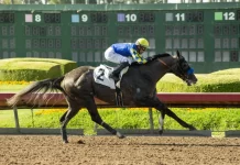 Reincarnate gives Baffert his 7th Los Al Derby Win