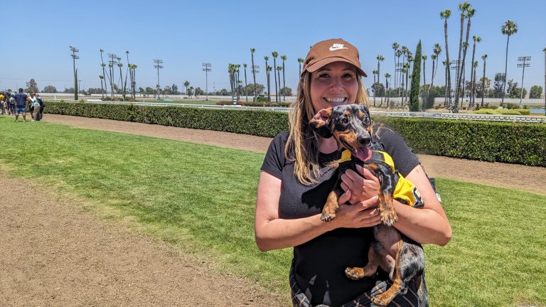 Los Al Wiener dog to run for the title