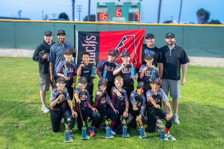 Los Al Youth Baseball brings home championship