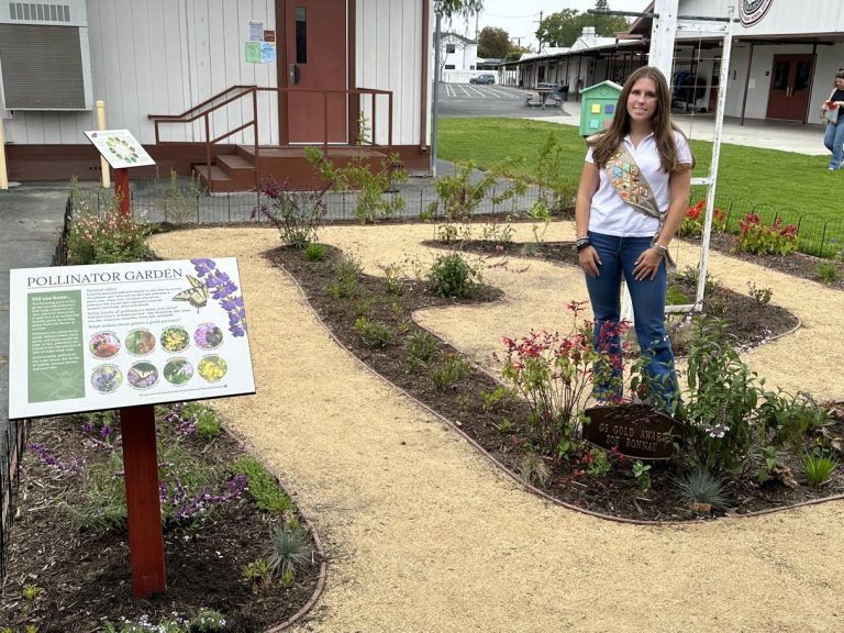 Monarch butterfly garden now beautifies Lee Elementary