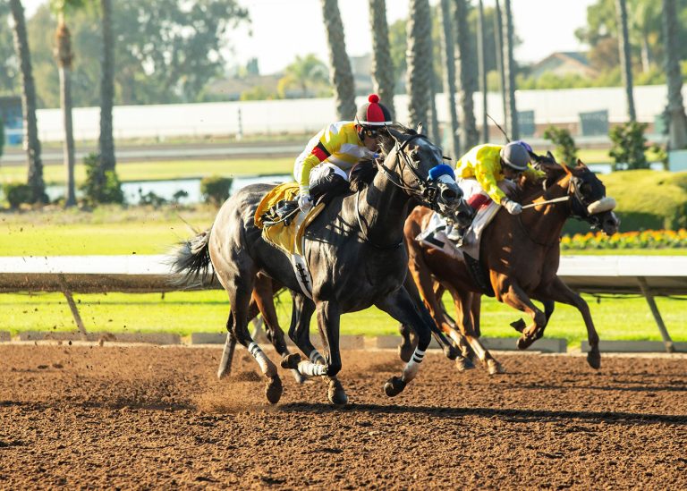 September Meet at Los Al Racetrack to begin Friday