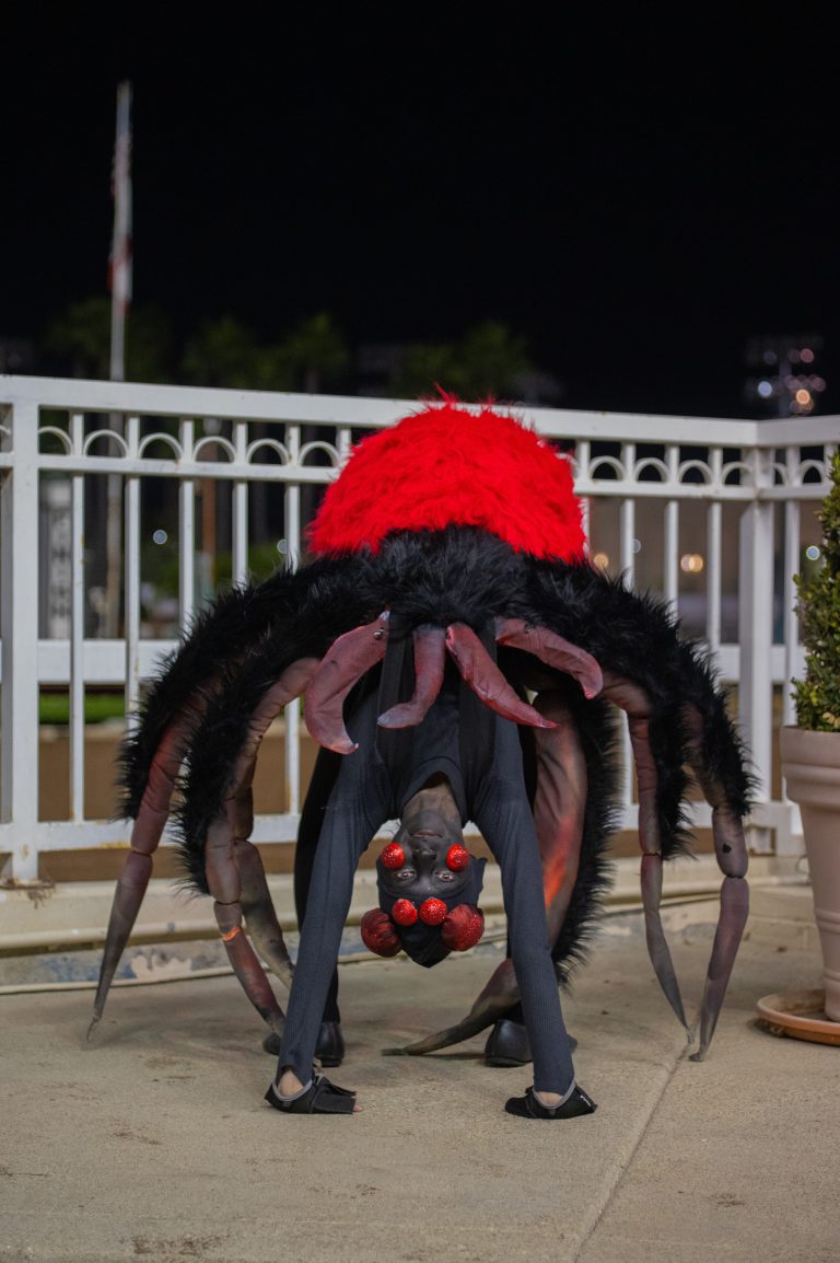 Spider costume wins top prize at LARC event