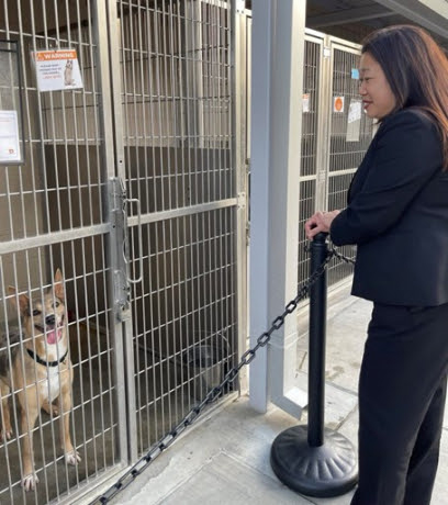 Nguyen approves Animal shelter reforms