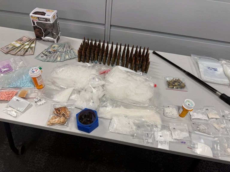 Cypress Traffic stop yields huge cache of illegal drugs