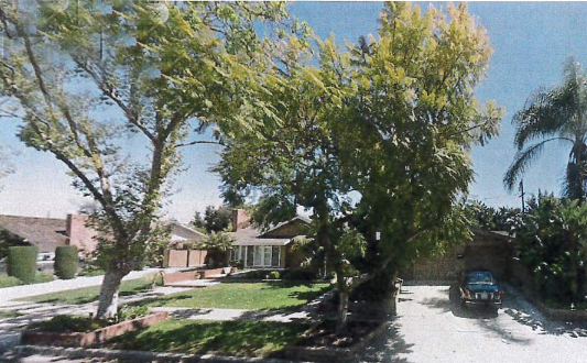 Rossmoor CSD Board shows mercy to homeowners by reducing fine for unauthorized tree cutting