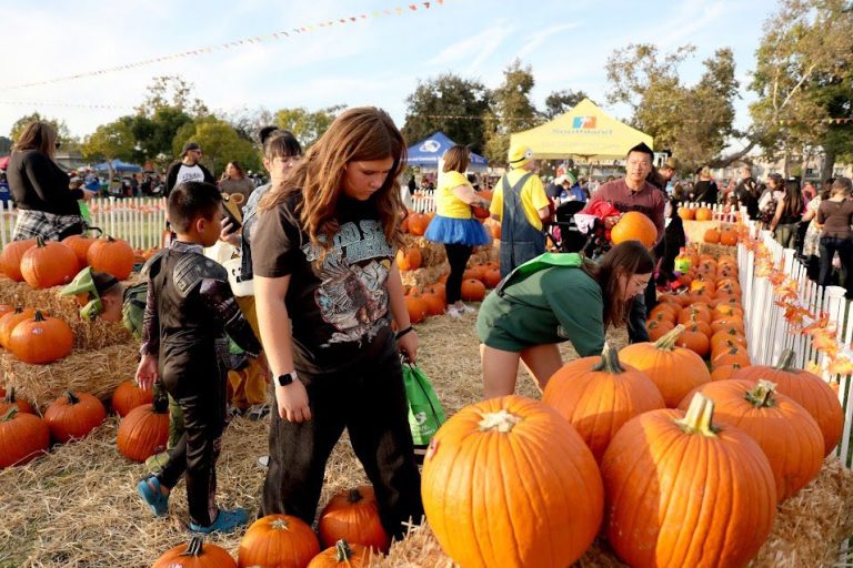 14th Annual MemorialCare/Los Al Truck or Treat event slated for Oct. 25