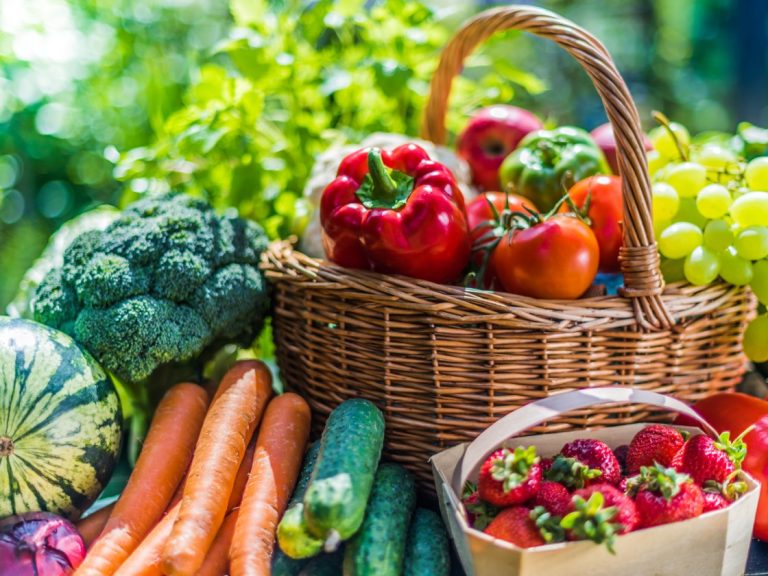 Aquarium First Wednesday lecture to explore urban food ecosystem