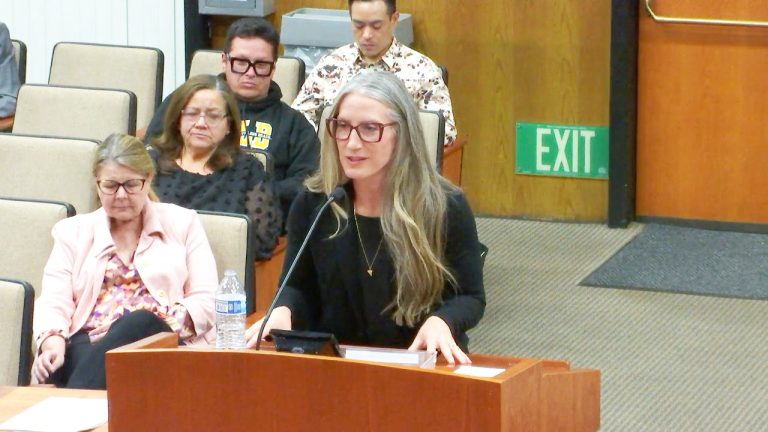 Council appoints Rachel Strong Carnahan to fill vacant seat